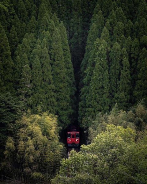  عکس پروفایل هنری خاص از طبیعت