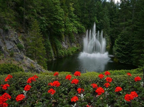  عکس دیدنی از مزرعه گل