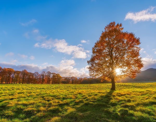  تصاویر طبیعت پاییزی زیبا