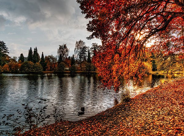  تصاویر طبیعت پاییزی زیبا