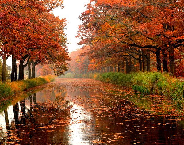  تصاویر طبیعت پاییزی زیبا