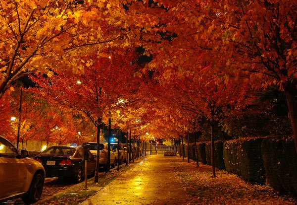  تصاویر طبیعت پاییزی زیبا