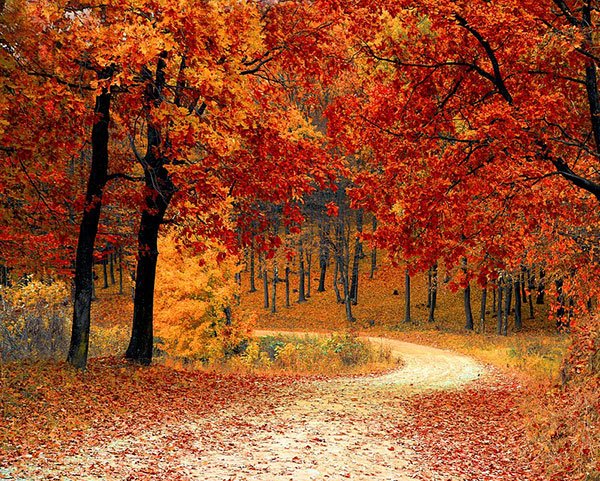  تصاویر طبیعت پاییزی زیبا