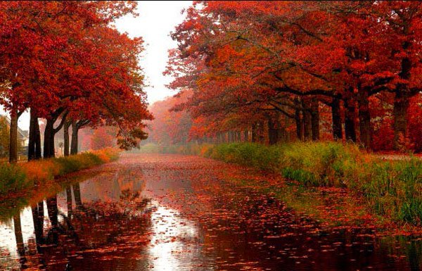  تصاویر طبیعت پاییزی زیبا