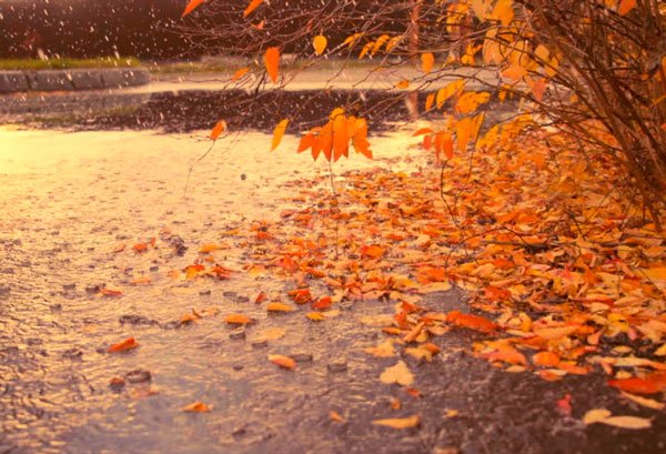  تصاویر طبیعت پاییزی زیبا