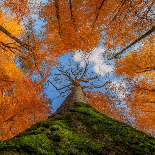  تصاویر طبیعت پاییزی زیبا