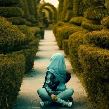  عکس پروفایل دیدنی و جذاب طبیعت