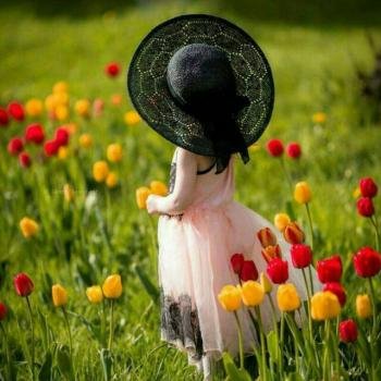  عکس پروفایل دیدنی و جذاب طبیعت