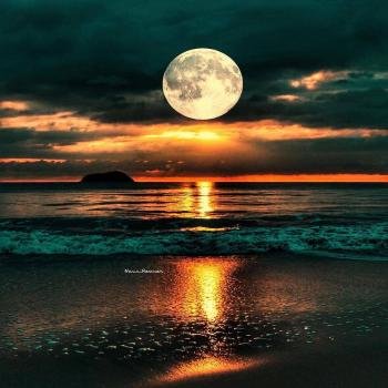  عکس پروفایل دیدنی و جذاب طبیعت