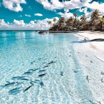  عکس پروفایل دیدنی و جذاب طبیعت