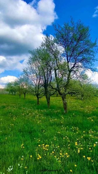  عکس منظره زیبا برای پروفایل