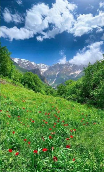  عکس منظره زیبا برای پروفایل