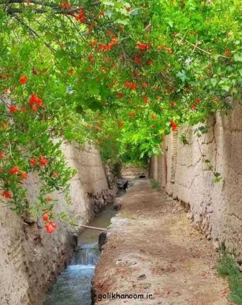  عکس منظره زیبا برای پروفایل