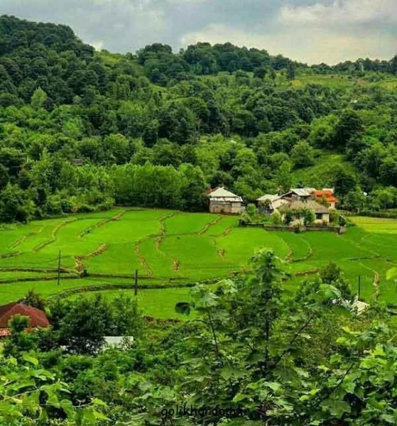  عکس منظره زیبا برای پروفایل