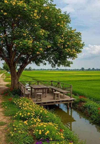  عکس منظره زیبا برای پروفایل