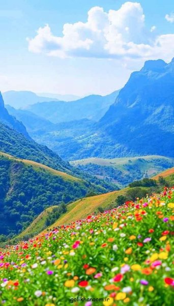  عکس منظره زیبا برای پروفایل