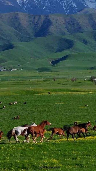  عکس منظره زیبا برای پروفایل