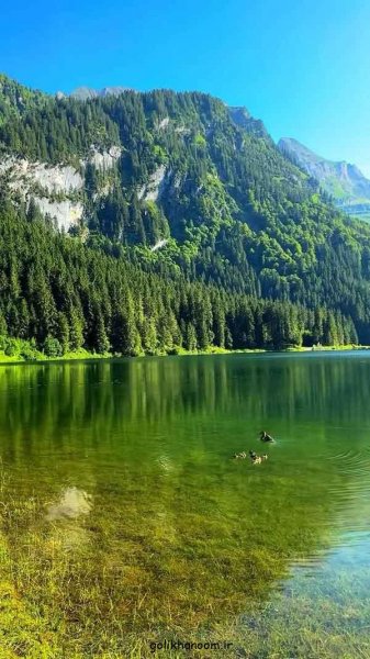  عکس منظره زیبا برای پروفایل