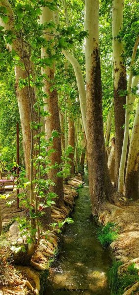  عکس منظره زیبا برای پروفایل