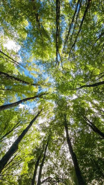  عکس منظره زیبا برای پروفایل