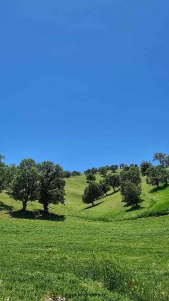  عکس منظره زیبا برای پروفایل