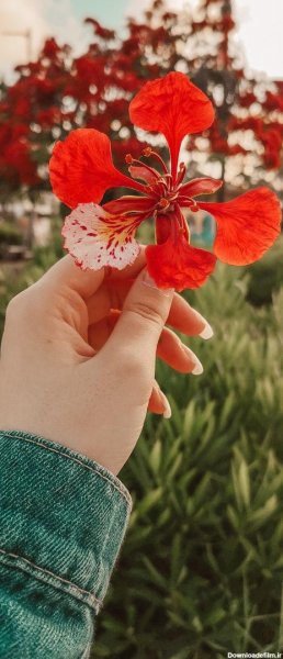 عکس دختری در باغ