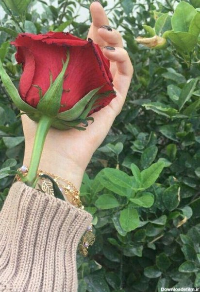  عکس دختری در باغ