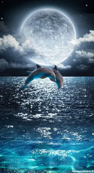  عکس دریا در شب زیبا