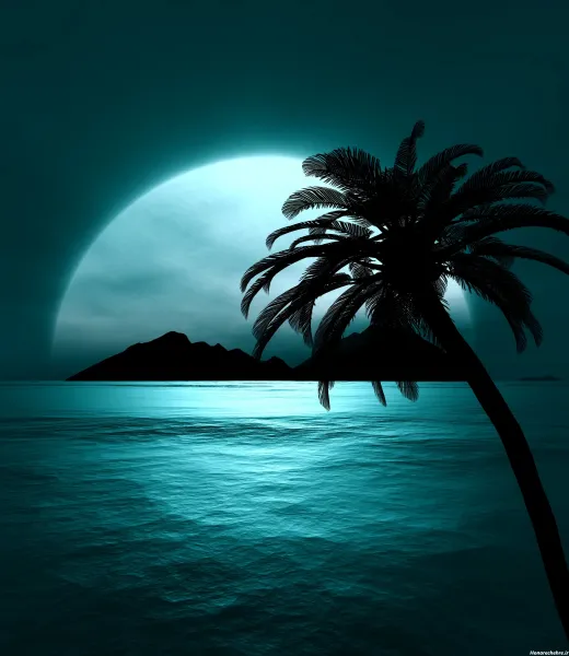  عکس دریا در شب زیبا