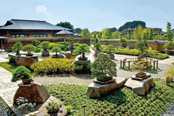  عکس باغ گل طبیعی