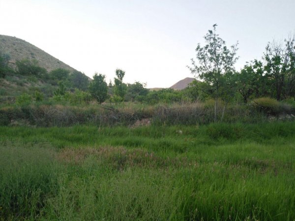  عکس باغ روستایی