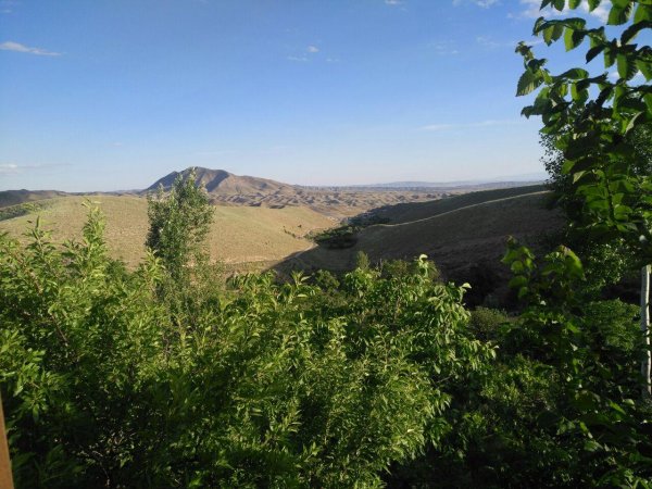  عکس باغ روستایی