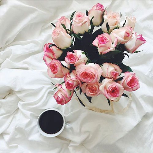  عکس باغ گل برای پروفایل