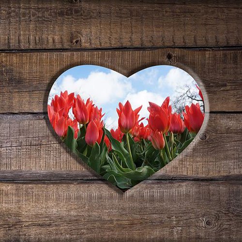  عکس باغ گل برای پروفایل