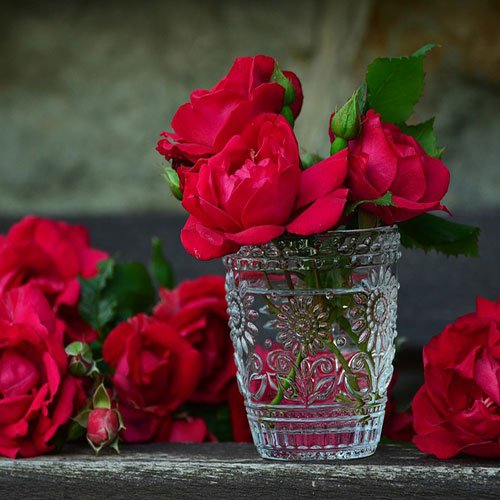  عکس باغ گل برای پروفایل