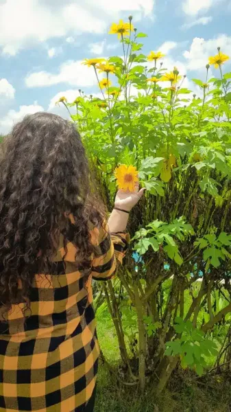  عکس دختر مو فرفری