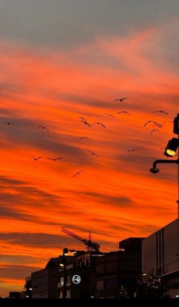  عکس غروب خورشید