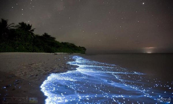  عکس دریا در شب برای پروفایل