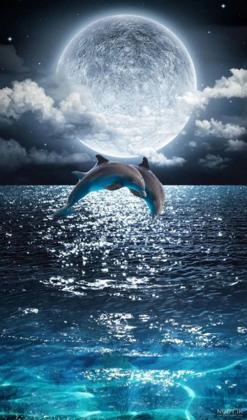  عکس دریا در شب برای پروفایل