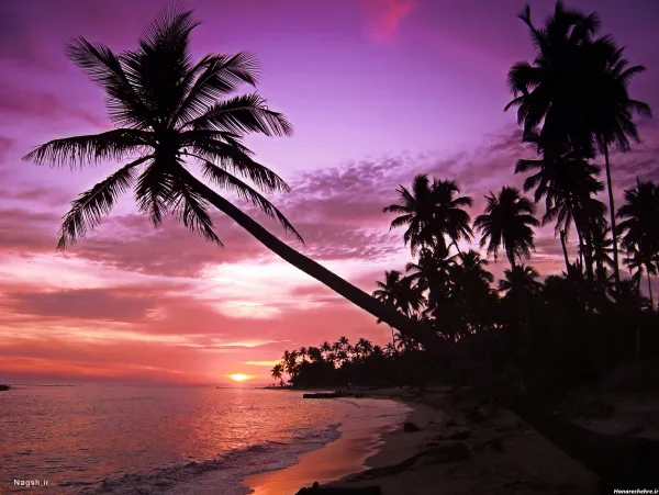 عکس غروب خورشید زیبا