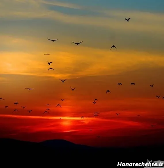  عکس غروب خورشید زیبا