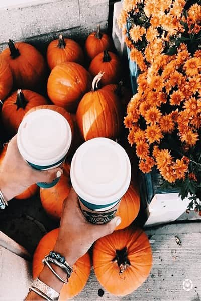  عکس منظره پاییزی زیبا