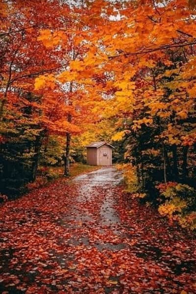  عکس منظره پاییزی زیبا