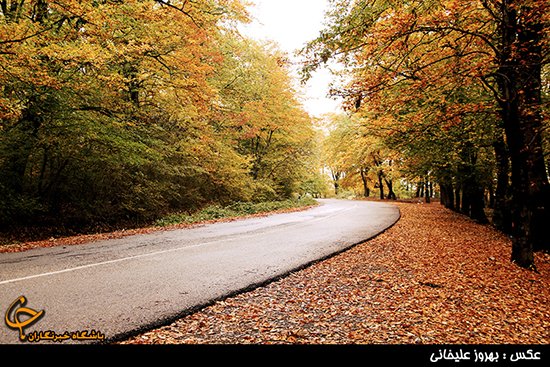  عکس جاده چالوس در پاییز