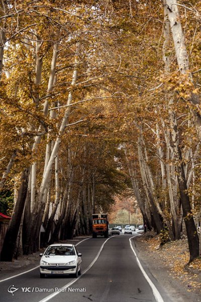  عکس جاده چالوس در پاییز
