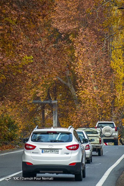  عکس جاده چالوس در پاییز