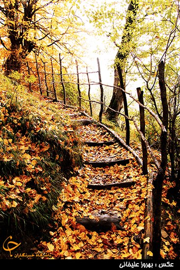  عکس جاده چالوس در پاییز