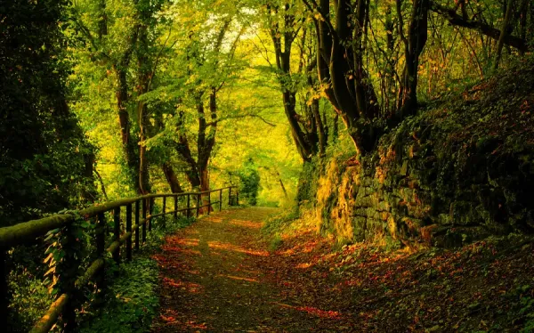  عکس طبیعت پاییزی بکر