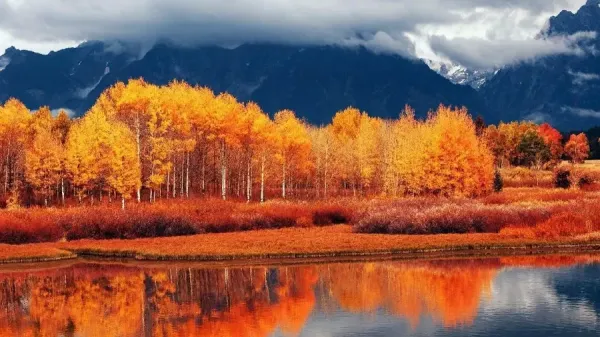  عکس طبیعت پاییزی بکر