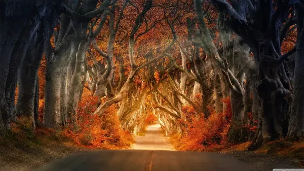  عکس طبیعت پاییزی بکر